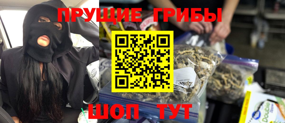 Ялта  как найти закладки  Вход с VPN  Псилоцибиновые грибы Psilocybe 